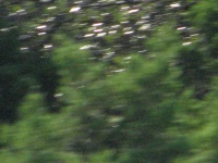 20100206 544.JPG